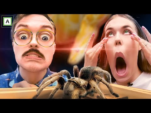 Hvem blir lettest DISTRAHERT? 🕷️🐍