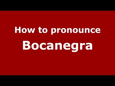 How to pronounce Bocanegra