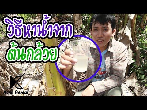 คลิกเพื่อดูคลิปวิดีโอ