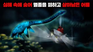 심해 잠수부들에 의해서 실제로 목격된 '플레시오사우루스'로 의심되는 거대한 바다생명체 [미스터리]