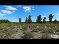 Tour Virtual