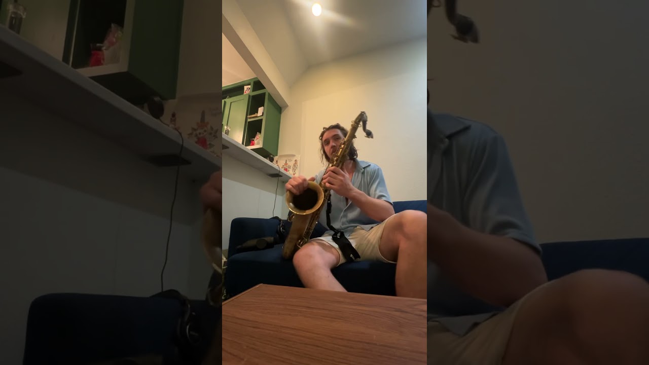 Promotional video thumbnail 4 for Sax in the City