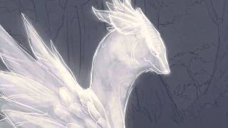 The Butterfly Dragon