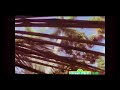 Sesame Street Episode 3899 FULL