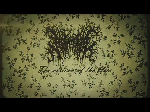 NITHEFUL - THE VISIONS OF THE FLIES [OFFICIAL VISUALIZER] (2025) SW EXCLUSIVE