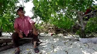 Download lagu BEGINILAH NASIB 1 mp3 Download lagu BEGINILAH NASIB 1 mp3