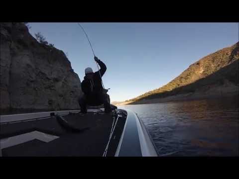 Flippin Bass at Lake Pleasant AZ