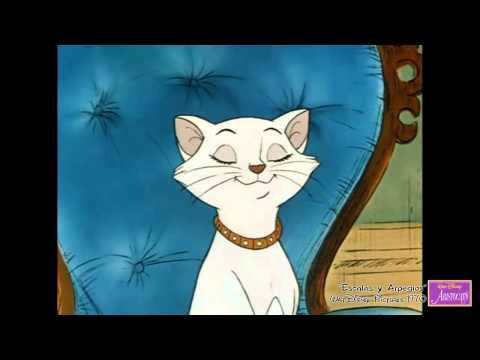 Los Aristogatos - Escalas y Arpegios [Audio Latino]