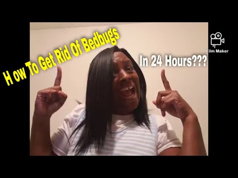 HOW TO GET RID OF BEDBUGS |  In 24 Hours ??? +  How to know when they are gone! Q&A