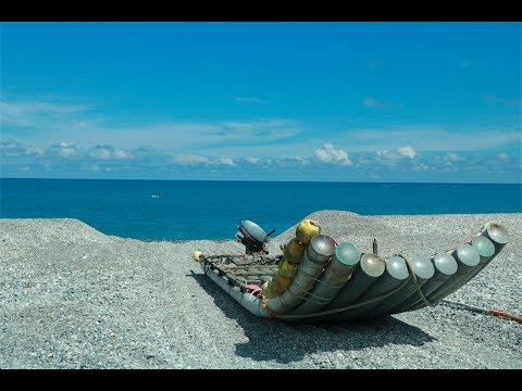 不再魚取魚求「洄遊吧」讓海洋永續