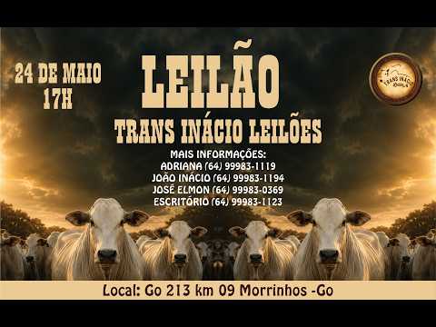 Leilão de Gado em MORRINHOS-GO, 24/05/2026  TransInácio Leilão - 18:00 Hs - Presencial e virtual.