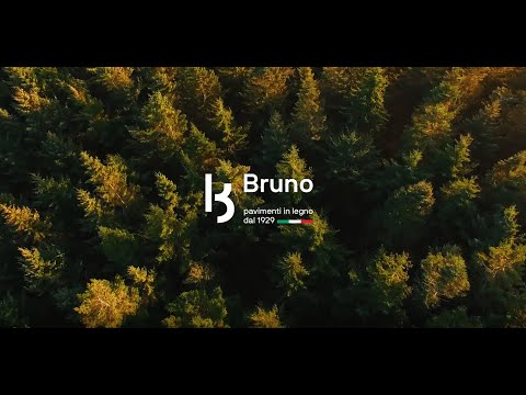 Видеообзор