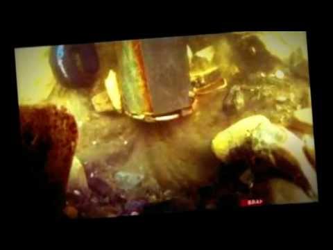 Demrick - I'm Money (Gold Divers Song) Discovery channel 2013! NEW