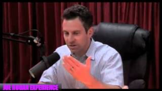 "Thoughts" with Sam Harris (from Joe Rogan Experience #543)