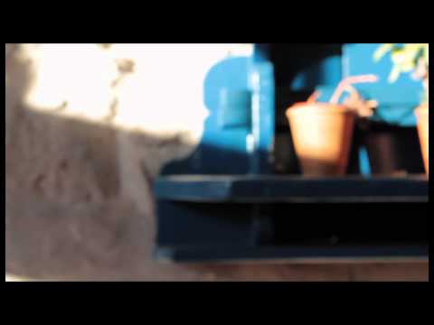 Song For A Future Love - The Frank and Walters