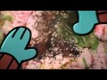 Cartoon Network New Thursday Promo January 28 2016 15s