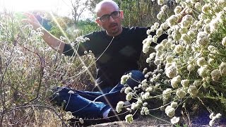 What Is Quantum Entanglement?