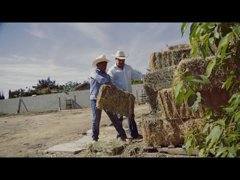 La Mar-K de Tierra Caliente - Mi Héroe (Video Oficial)