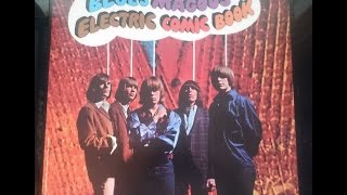 &quot;THERE´S A CHANCE WE CAN MAKE IT&quot;  BLUES MAGOOS  MERCURY LP MG 21104 P.1967 USA