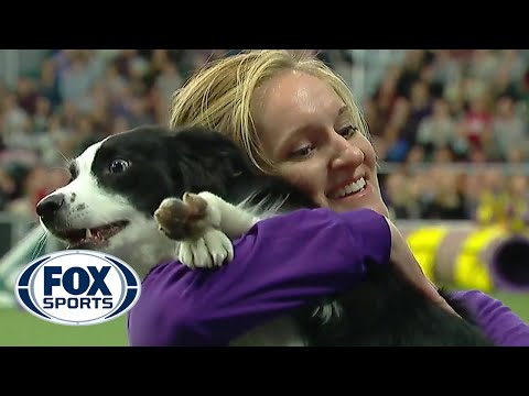 , title : 'P!nk the border collie wins back-to-back titles at the 2019 WKC Masters Agility | FOX SPORTS'