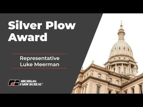 Silver Plow: Rep Meerman