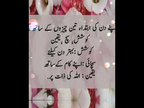 Urdu Quotes#shorts#shaheena voice