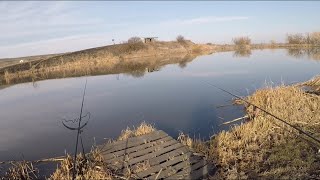 Ссылка