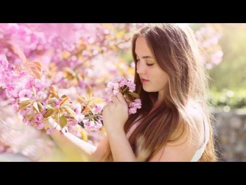 Ružica sem bila - Kvartet Studio