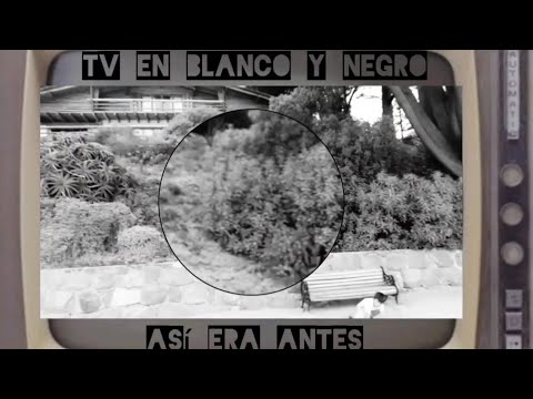 ¿RECUERDAS LA TV EN BLANCO Y NEGRO? EN ZAPALLAR, REGIÓN DE VALPARAÍSO, CHILE, HAREMOS ESTA PASADA