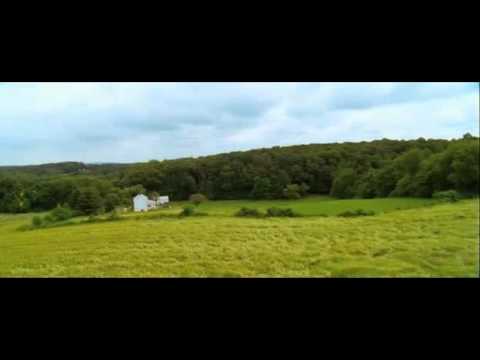 August Rush - A szeretet szimfóniája