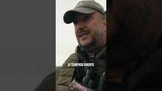 EPISODIO 2: Tras el duende de Teruel🌿🦌 Seguimos con la aventura. Wild Pilar Montero