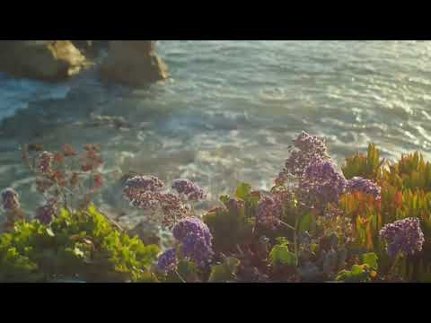 Slow Motion Relax Music