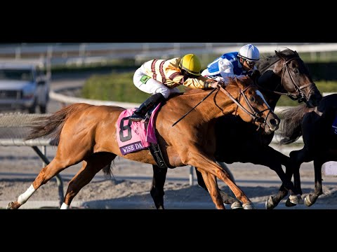 2013 Breeders' Cup Mile - NBC Broadcast