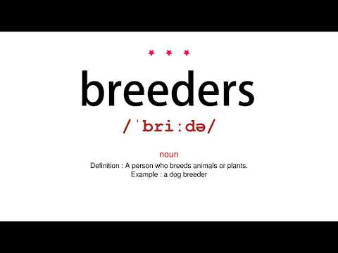 How to pronounce breeders - Vocab Today