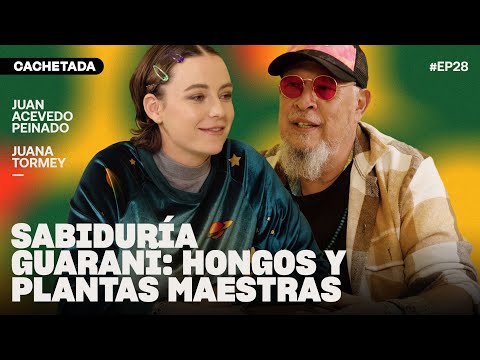SABIDURÍA GUARANÍ: HONGOS Y PLANTAS MAESTRAS - Juan Acevedo Peinado | CACHETADA #28