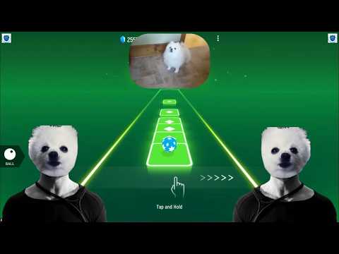 Imagine Doggos - Thunder | Tiles Hop