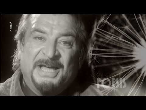 Poesis: Ion Marinescu - Cel ce gândeşte singur de Tudor Arghezi (@Arhiva TVR)