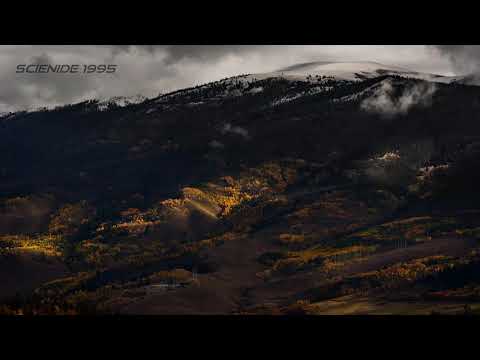 DUB TECHNO || Selection 007 ||