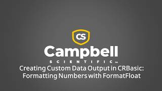 creating custom data output in crbasic: formatting numbers with formatfloat