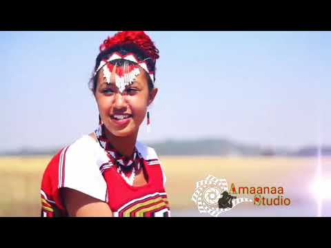 Oromo Music intalla Abba Gadaa