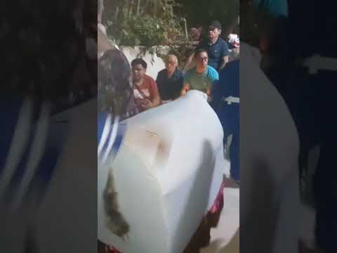 reisado veterano passagem de larga reriutaba Ceará 2026. topacao boi