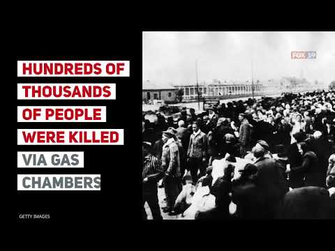 Survivors mark 75 years since Auschwitz liberation