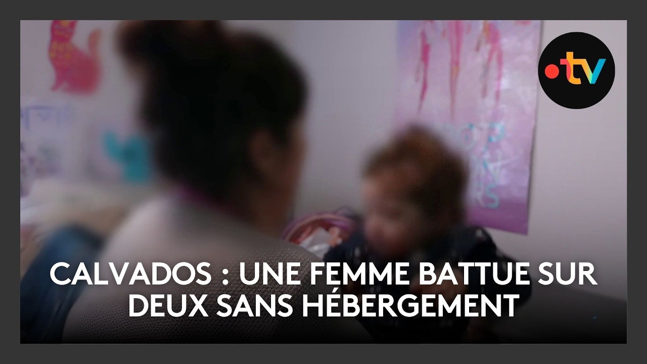 Illustration: Calvados : femmes battues sans refuge, le 115 saturé