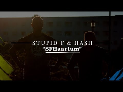 Stupid F & Hash "SFHaarium" uus album nüüd väljas!