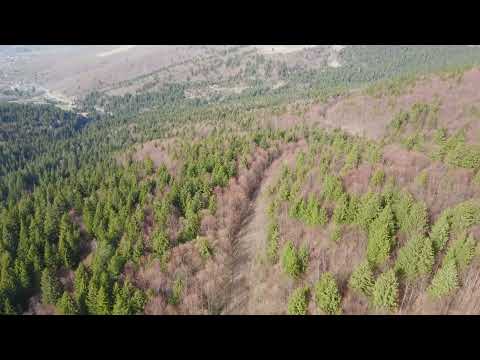 DN 13 E,Bărcani - Zagon