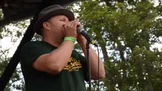 John Németh at the 2014 White Mountain Boogie N Blues