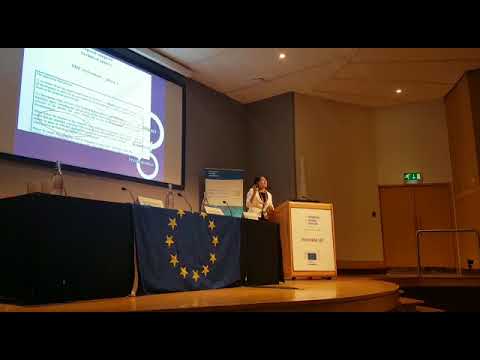 The importance of following the structure of a Horizon 2020 SME Instrument application