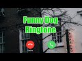 10 Funny Dog And Barking Dog Ringtone LINK