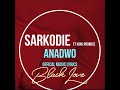 Sarkodie- Anadwo ft. King Promise Music Lyrics Sarkodie- Anadwo ft. King Promise Music Lyrics