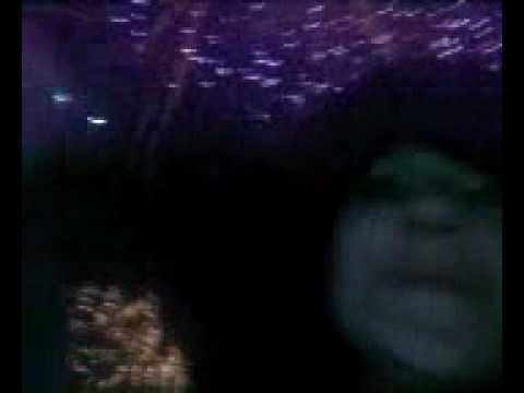 Sylwester 2008' Muszla Koncertowa- Swinoujscie